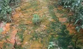 ������A��ʧ���ж���ģ���֪���᣿