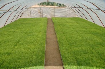 2018��|��ˮ�������������gָ����Ҋ