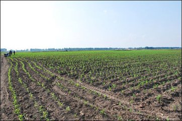 2018��|���؅^С���������g��Ҋ