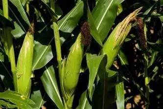 �������Խ�ߣ���������Խ��᣿���e(cu��)�ˣ�