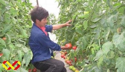 ���t��ժ�~����