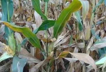 ������׳��F��С��F���ˆ᣿�@Щ���}һ��Ҫ��ǰ���⣡