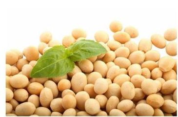 2018��|���؅^(q��)�󶹴������g(sh��)ָ��(d��o)��Ҋ