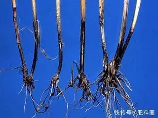 ���棺�����@�NС���ն�ǧ�f�e߀�