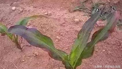 �������硢�t�硢���磿ԭ�����ҵ�������һ��Ҫע�⣡