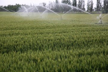 ������С����οƌW���ձ��w���w�}