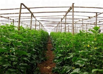 �ļ��ߜ��������߲˹����������@���c��