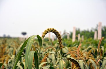 2018��������a���gָ����Ҋ