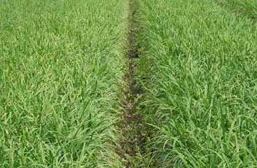 �²˵����༼�g(sh��)�c�ճ�����