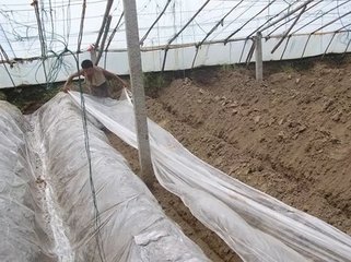 �߲˴���Έ@����@�������󵜻���