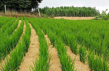 �����߮a����ķ�����������������߮a