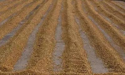 С���u�߃r���Ă����������܎�æ��