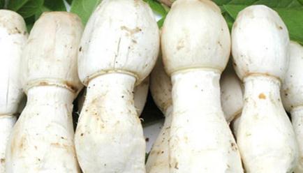 �u�ȹ������ϴ��Է����c����