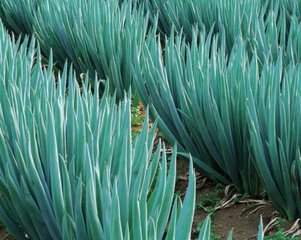 ���Ĵ��[��η��A�ι�����