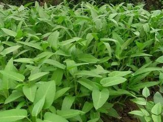 ���ĸߜض��꣬�O���@�@�ӹ������P(gu��n)�I��