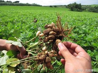 �ļ�������Ҋ3�N�������������ǰ��