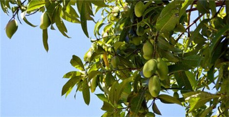 ��νoâ��ʩ�ʮa���ߣ�