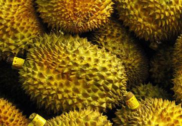 ��ηNֲ�����|����ɏ