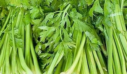 �۲�������ࣿ�۲˵����༼�g��