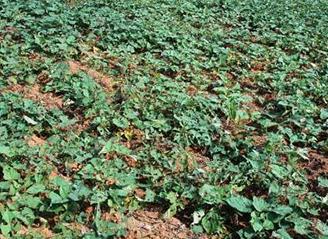 �t��һ��ʲô�r(sh��)���_ʼ���磿�����ڴ�Ŷ��