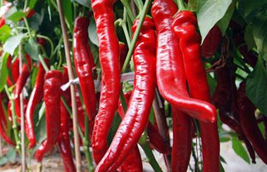 ��������仨���ô�����������仨�����(y��ng)��(du��)��ʩ