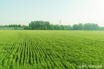 С������ˮ���@���c���P�I��