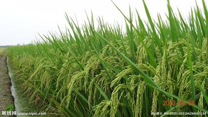 ˮ�����ڵ����g������ô����