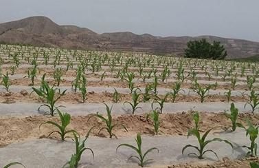 �����׵Ĳ��N�r�g�������ײ��N�����ܰlѿ