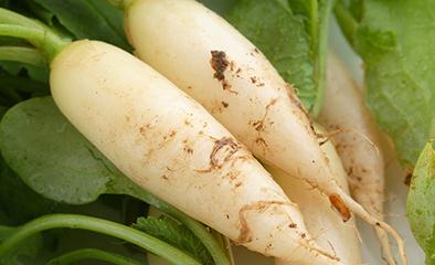 ��ô�����}���ܸ߮a�������}����Ҫ�c���g