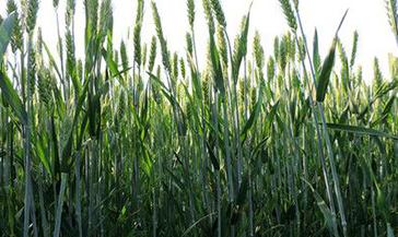 С������ʲô�r(sh��)�g���ݱ��^�ã�С�����ݵĕr(sh��)�g