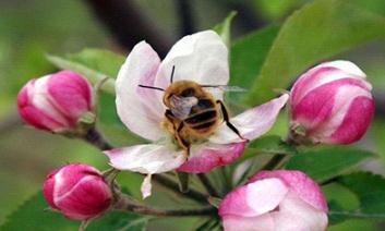 �O���仨�ڹ�����һ��Ҫץס�@6����