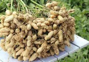 ����ʲô�r���ի@��ʲô�r���ի@�Ļ����ó�