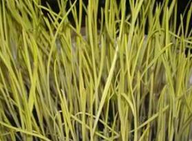 �Ϸ��p���������a���gָ����Ҋ