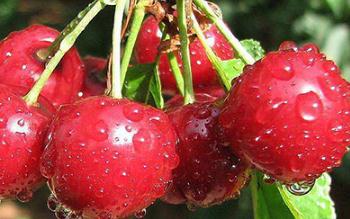 �������ӹ�������ң�����Ҵ�����������