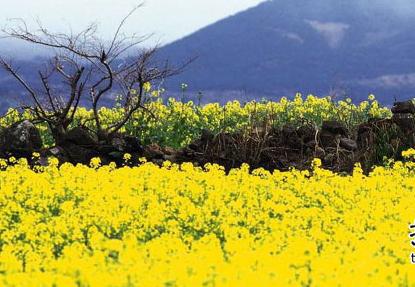 �Gꖿ���+���L�E�꣬�߲�����ѳ��L���@Щ�������ɺ��ԣ�