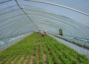 ����������LҪ�c