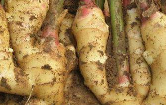 �����Nֲ��Ϋ@�߮a�������߮a�ķ�����