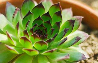 �^��ɏ��ô��ˮ���^��ɏˮ�ʹ�������