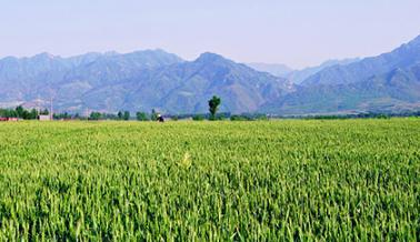 С�����F(xi��n)��ɫ������ô���£�С�����F(xi��n)��ɫ����μ���