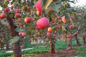 ����޽Ӻ���ι����ã�����޽Ӻ�Ĺ�������