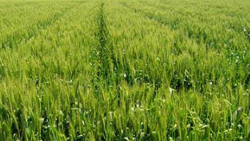 С���ɟ��L��ô�k���A��С���ɟ��L��ʲô����