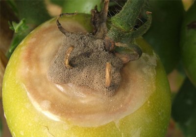 ���t���Nֲ�^���г��F��ù����ԓ��ô�k��