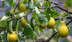 �＾���(sh��)��ô�������＾���(sh��)�������g(sh��)