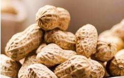 ������ô����a���ߣ��ļ��������༼�g