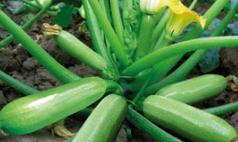 �����J�ڽY������ô�����������J�Y���ڹ�������