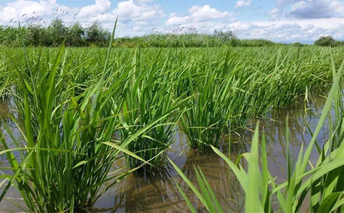 �C�嵾�磬�@Щ���}һ��Ҫע�⣡