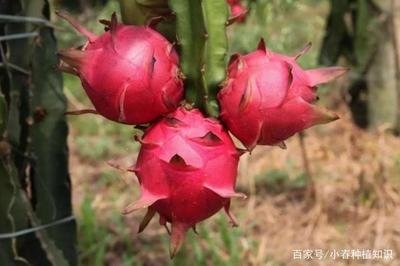 ����׌���@���|���a�����@������ʼ��g