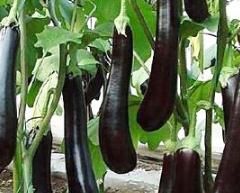 ����ʲô�r�g���磿�������緽��