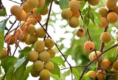 ���ӌ�(du��)�Ә��M(j��n)���Ժ������