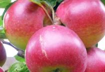 ��ʿ�O����ô�����޼�����ʿ�O�������޼����g